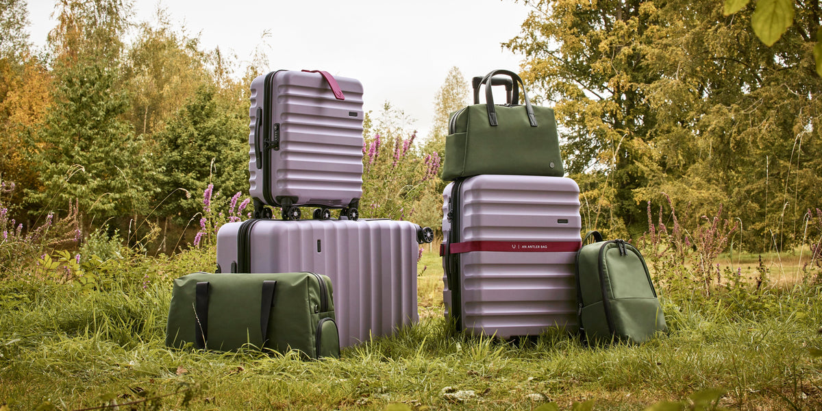 a group of luggage in the grass
