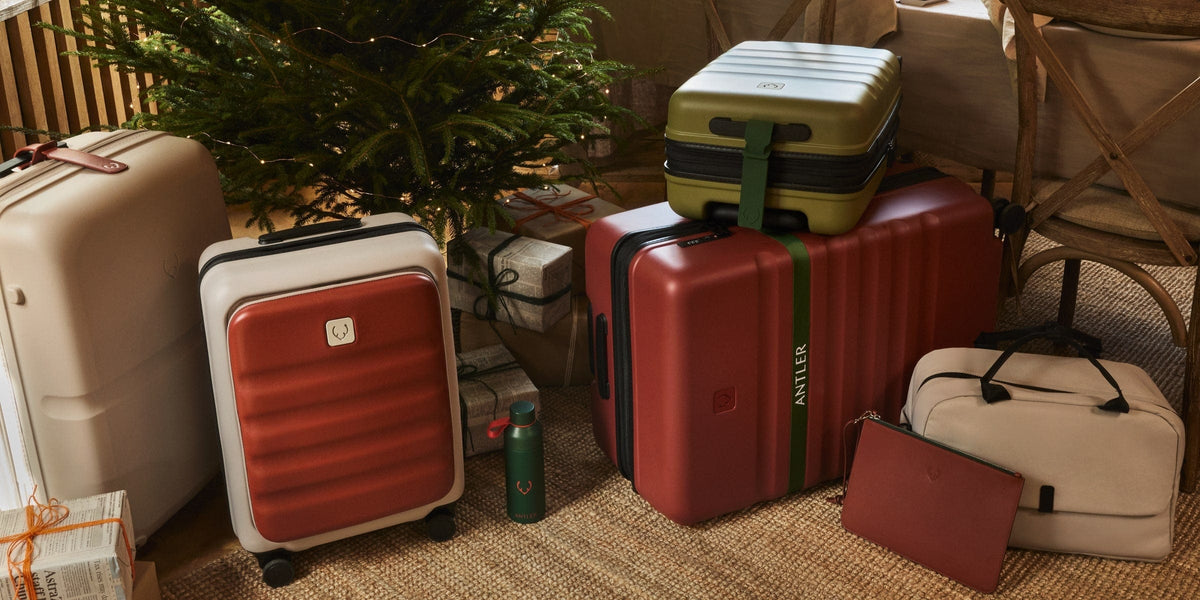 a group of luggage next to a tree