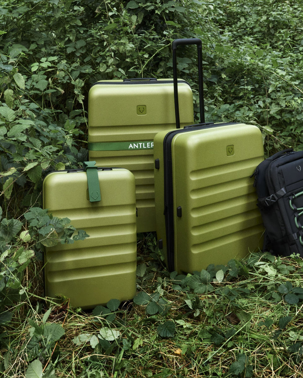 a group of luggage in the bushes