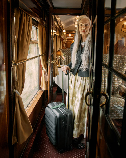 a woman standing in a train with a suitcase