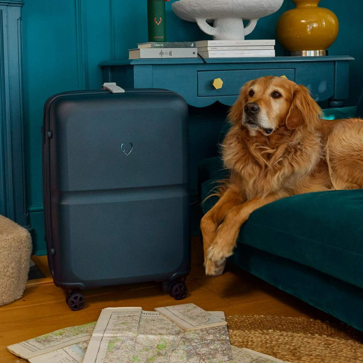 a dog lying on a couch next to a suitcase