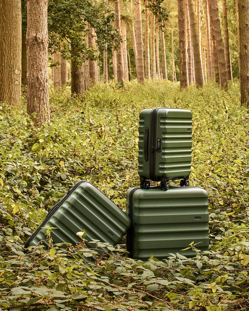 a group of luggage in the woods