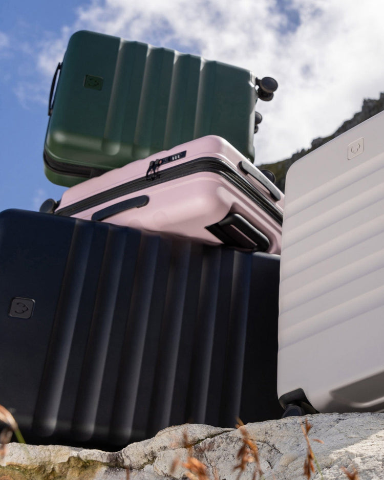 a group of luggage on a rock