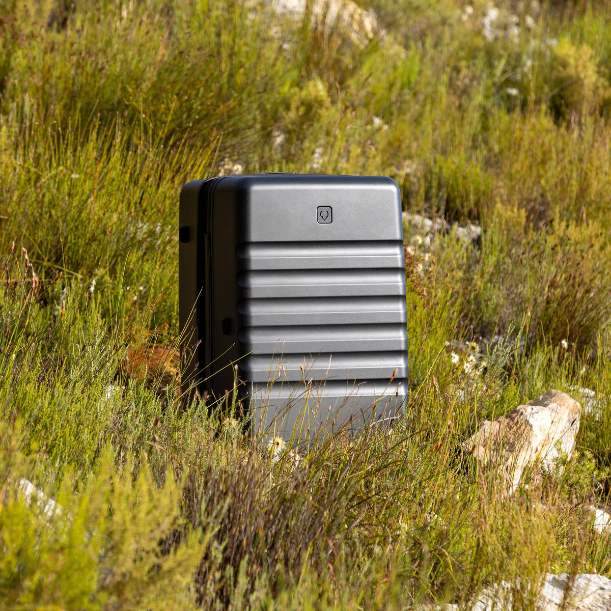 a black suitcase in a grassy area