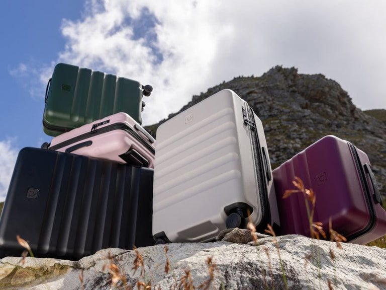 a group of luggage on a rock