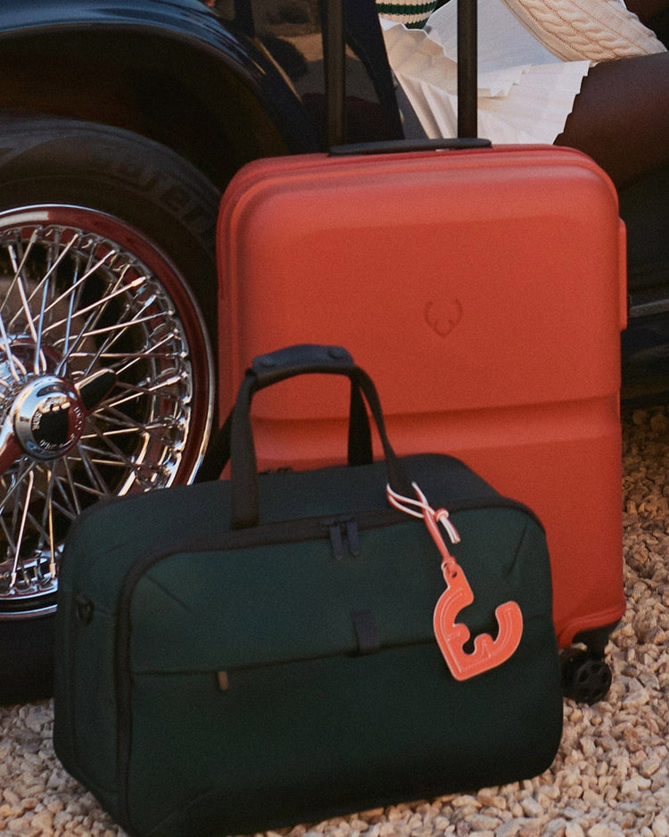 a couple of luggage bags next to a car