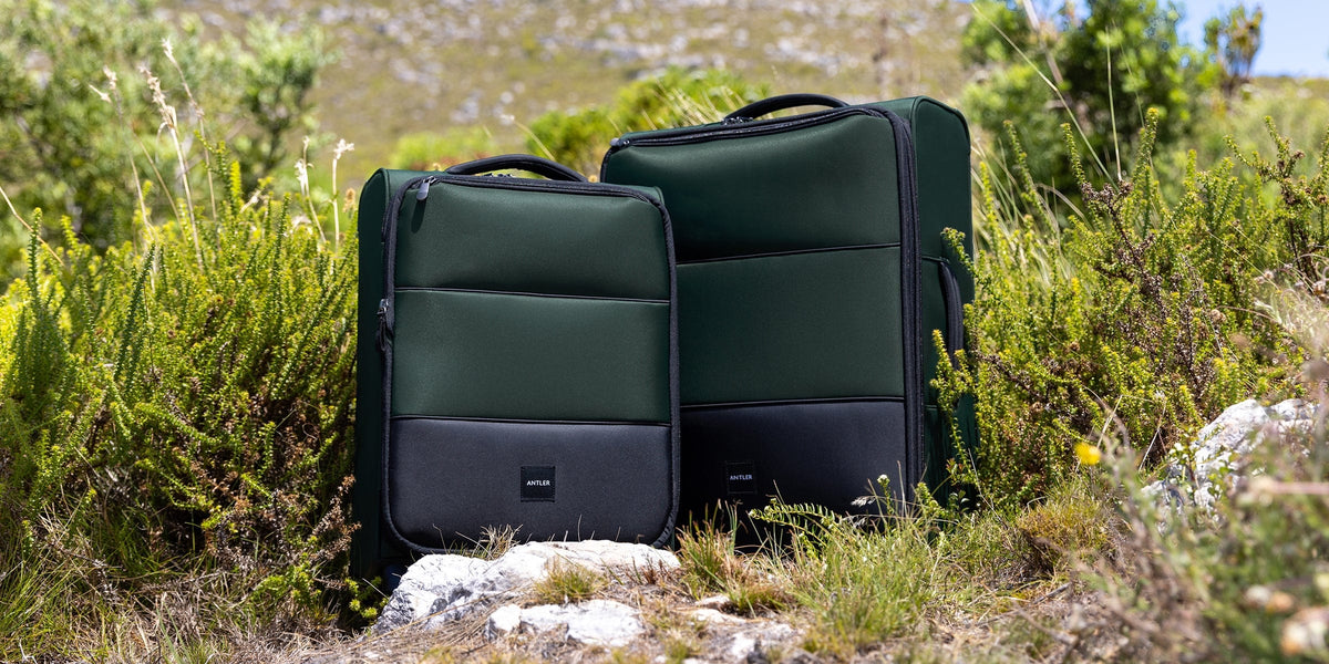 a pair of luggage in the grass