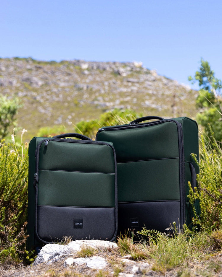 a pair of luggage in the grass
