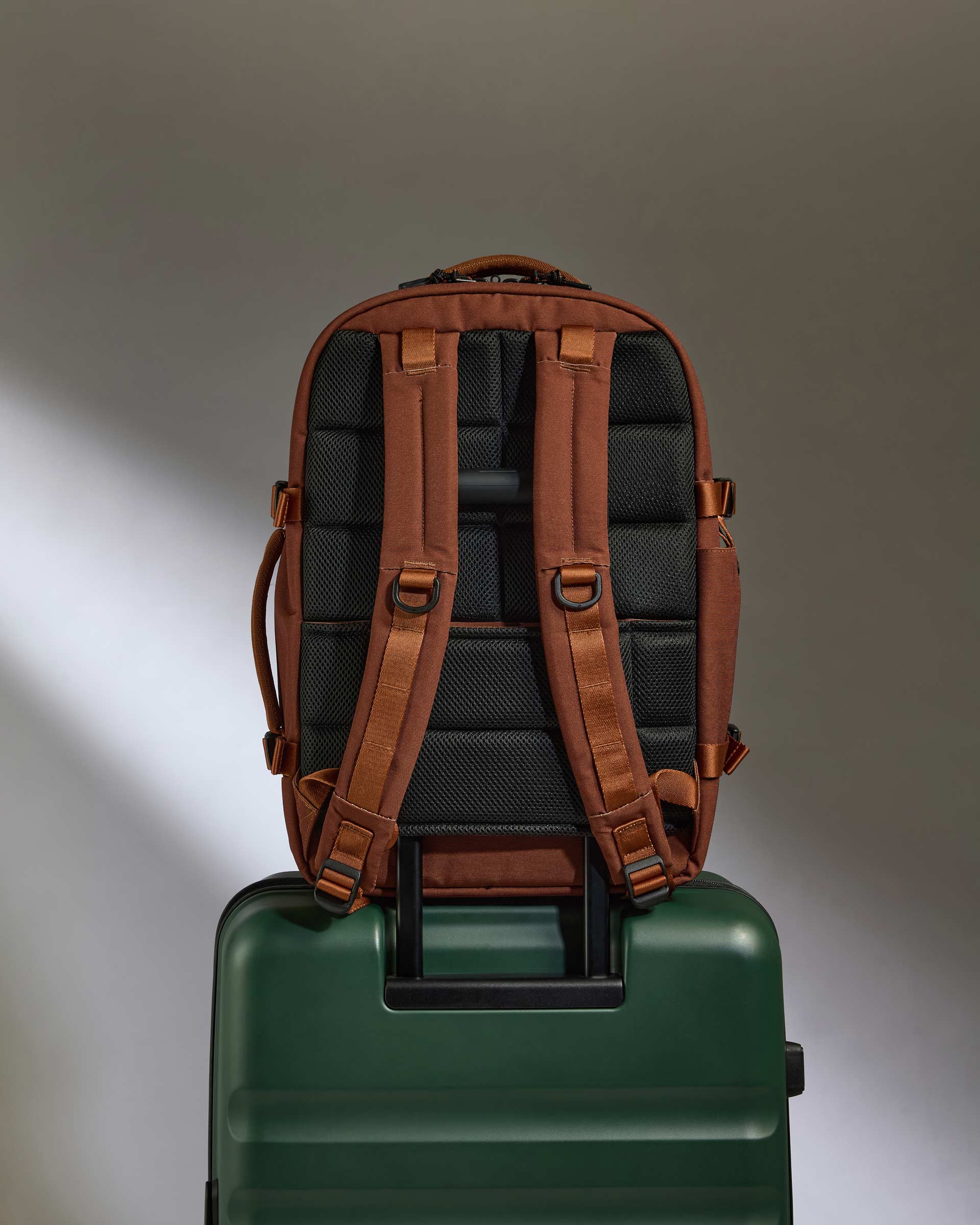 Antler Luggage -  Discovery 28L Backpack in Clay Brown - Backpack Discovery 28L Backpack in Clay | Rucksacks & Travel Bags