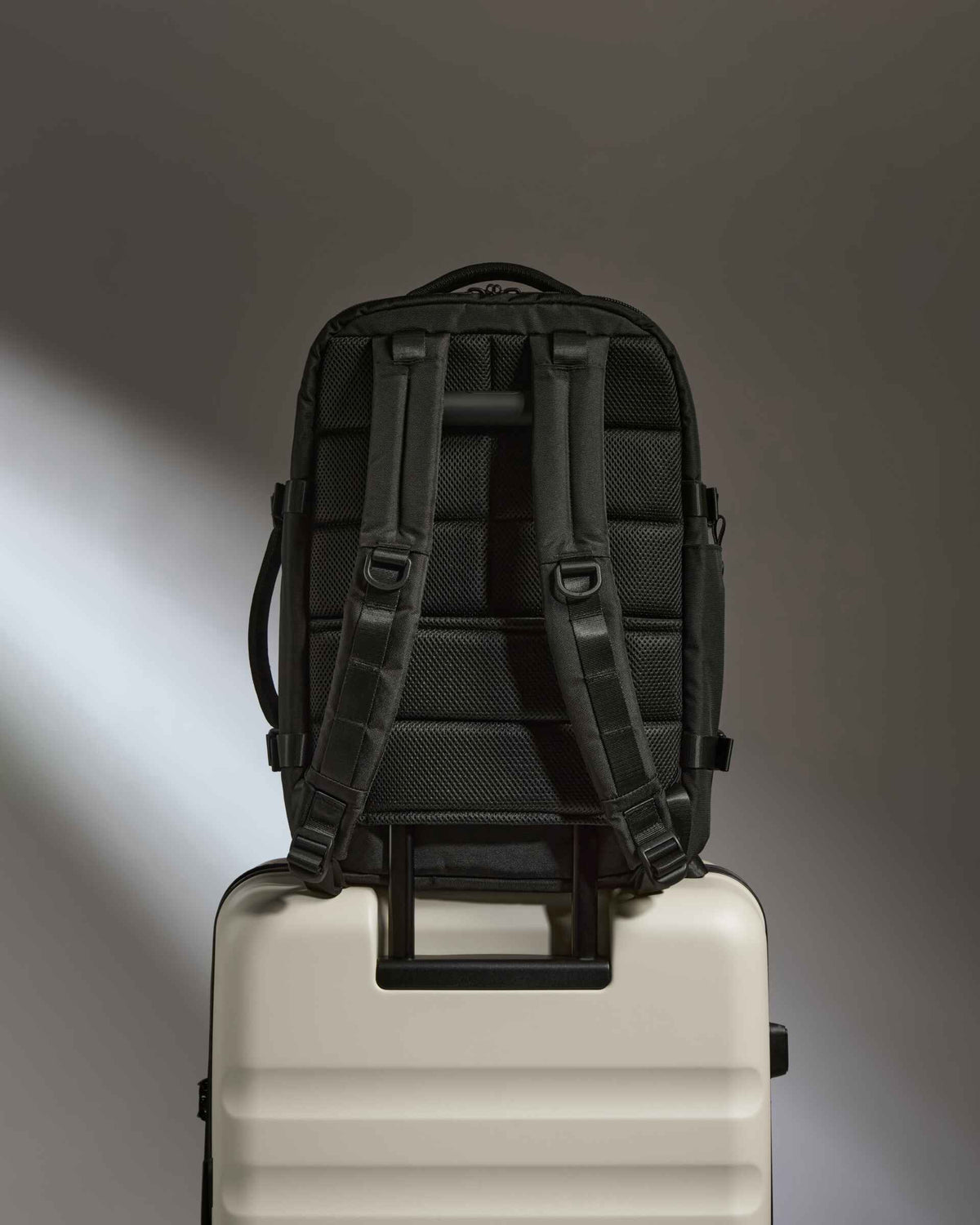 Antler Luggage -  Discovery Backpack in Carbon Black - Backpack Discovery Backpack in Black | Rucksacks & Travel Bags
